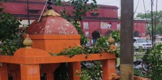 डूमरियागंज तहसील में आंधी में गिरा विशाल पीपल:कई बाइकें क्षतिग्रस्त; पास का मंदिर सुरक्षित