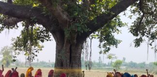 सुहागिनों ने रखा वट सावित्री व्रत:मिहींपुरवा में विधि-विधान से की पूजा, पति के लंबी उम्र की कामना की