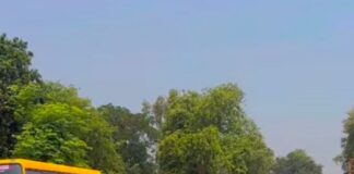 बेलौहा पेट्रोल पंप पर वाहनों की लंबी कतार:डीजल भरवाने उमड़ी भीड़, पर्याप्त स्टॉक का दावा