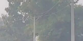 कंजड़वा सरयू माइनर नहर का रास्ता जर्जर:आवागमन बाधित, ग्रामीण पक्की सड़क बनाने की मांग कर रहे