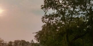 पचवश गांव के सामने सर्विस रोड पर जलजमाव:राहगीरों को आवागमन में परेशानी, आक्रोश