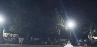 मुस्लिम इतिहास क्लब ने जीती जिला स्तरीय नाइट क्रिकेट प्रतियोगिता:बहराइच में ट्विंकल इलेवन बालापुर को 50 रनों से हराया