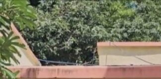 वासा चक पंचायत में वित्तीय अनियमितता:डीएम ने प्रधान के अधिकार सीज कर त्रिस्तरीय समिति गठित की