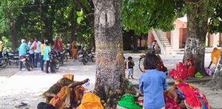 वेलहन में सुहागिनों ने की वट सावित्री पूजा:समय माता मंदिर में पति की लंबी आयु के लिए की कामना