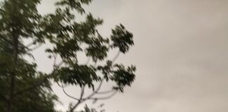 तेज हवाओं और बारिश से मौसम बदला:नगर बाजार में भीषण गर्मी से मिली राहत, किसानों के चेहरे खिले