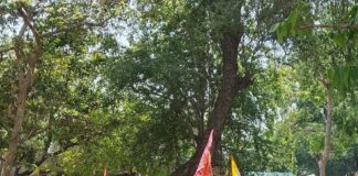 ज्येष्ठ माह के दूसरे मंगलवार को शोभा यात्रा निकली:कर्नलगंज से सरयू तक निकली यात्रा में उमड़ी श्रद्धालुओं की भीड़