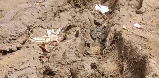 इंदिरा नगर में आवास परिसर की सड़कें बदहाल:बारिश में जलभराव की समस्या, गड्ढों में पानी भरने से दुर्घटनाओं का खतरा बढ़ा
