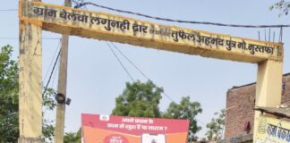 दैनिक भास्कर की प्रचार वैन रवाना:ग्राम प्रधान ने दिखाई हरी झंडी; पंचायतों में प्रधान रेटिंग अभियान के बारे में बताएंगे