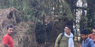 सेमरौना में बंजर भूमि पर आम का पेड़ काटा:लेखपाल ने जांच कर उच्च अधिकारियों को रिपोर्ट भेजी