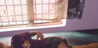 आवारा कुत्ते ने बच्ची पर किया हमला:श्रावस्ती के शिकारी चौड़ा गांव में हुई घटना