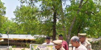 कप्तानगंज गौशाला में फलदार, छायादार पौधे रोपे गए:वन विभाग और ग्रामीणों ने मिलकर निभाई जिम्मेदारी