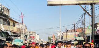 समाजवादी अल्पसंख्यक सभा के नवनियुक्त जिलाध्यक्ष:परतावल क्षेत्र में कार्यकर्ताओं ने किया जोरदार स्वागत