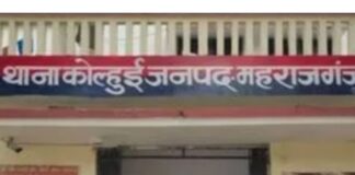 हरे पेड़ अवैध काटने पर एक व्यक्ति दोषी:28 साल पुराने मामले में कोर्ट ने एक दिन की जेल की सजा सुनाई