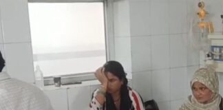चार साल की मासूम पर कुत्ते का हमला:घर के बाहर खेलते समय हमला, अस्पताल में भर्ती
