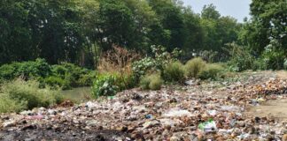 मिठौरा में नहर किनारे फेंका जा रहा कूड़ा:सिंदुरिया-देवरिया शाखा नहर पर गंदगी से लोग नाराज, कार्रवाई की मांग