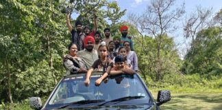कतर्नियाघाट में पर्यटकों ने देखा बाघ:लोगों ने कैमरे में तस्वीरें लीं, हिरण-बाराहसिंगा, मोर समेत कई वन्यजीव देखे
