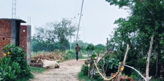 इन्दनापुर में जलभराव से त्रस्त ग्रामीणों का अल्टीमेटम:सड़क नहीं बनी तो नेताओं की एंट्री बंद, मिट्टी डलवाने से हो सकता है समाधान