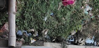खोस्टा में चार माह से नालियां जाम:गंदगी-दुर्गंध से ग्रामीण परेशान, शिकायत के बाद भी कार्रवाई नहीं