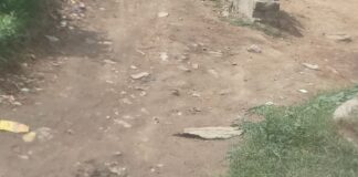 कैदुवा में कच्चा रास्ता:ग्रामीणों को बारिश में कीचड़ से आवागमन में परेशानी