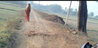 मोहनीपुर जमुनहा में जर्जर सड़कों से ग्रामीण परेशान:पक्की सड़क निर्माण के लिए प्रशासन से अपील