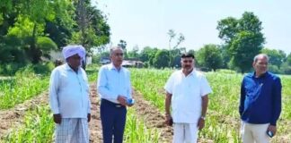 सिसवा में गन्ना सर्वे की जांच हुई:उपगन्ना आयुक्त, चीनी मिल व समिति के अधिकारी रहे मौजूद