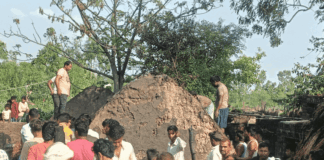 सैमरौना में आग से 14 बकरियां जिंदा जलीं:घरों में रखा सारा सामान खाक; पीड़ित बोला- अब कुछ भी नहीं बचा
