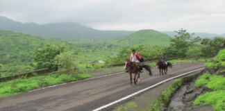 जंगली जानवरों की गतिविधियों की जानकारी के लिए 1000 गांवों में AI-बेस्ड अलर्ट सिस्टम – वन मंत्री गणेश नाइक