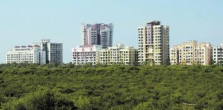 महाराष्ट्र के पहले मैंग्रोव पार्क का उद्घाटन 28 मई को गोराई में होगा