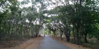 संजय गांधी नेशनल पार्क में मॉर्निंग वॉक फीस में बढ़ोतरी का फैसला वापस लिया गया