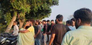 नेशनल हाईवे पर दर्दनाक सड़क हादसा, आवारा पशु से टकराकर ऑटो पलटा; एक की मौत, पांच घायल