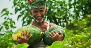 किसान बदल रहे खेती का तरीका, हो रहा फायदा