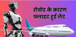 जब रोबोट बना पैसेंजर ताे एक घंटा लेट हुई फ्लाइट, सेफ्टी के लिए निकाली ये चीज