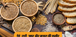 रोटी में कैलोरी क्यों होती है अलग?