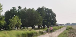 महुआ-पगारे सड़क जर्जर, राहगीर परेशान:कई जगह बने बड़े गड्ढे, दुर्घटना का खतरा बढ़ा