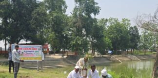 बृजमनगंज में विश्व पर्यावरण दिवस पर वृक्षारोपण:बीडीओ, एपीओ और एडीओ पंचायत ने ग्रामीणों को पर्यावरण संरक्षण का संदेश दिया