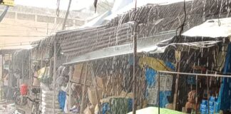महराजगंज में बारिश होने पर गर्मी से मिली राहत:किसानों के चेहरे खिले, धान की नर्सरी को मिला लाभ