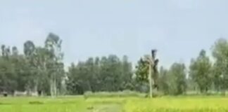 जमुनहा में दो गांवों को जोड़ने वाली सड़क जर्जर:ग्रामीणों को आवागमन में परेशानी, प्रशासन से की निर्माण की मांग