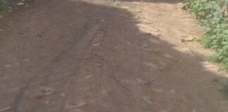 पाइपलाइन खुदाई से रास्ता बाधित:श्रावस्ती के कैदुवा गांव में आवागमन प्रभावित