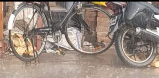 मिठौरा में झमाझम बारिश से मौसम का मिजाज बदला:भीषण गर्मी से राहत, किसानों की फसलों को होगा फायदा