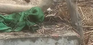 बस्ती के मैडैवा में छप्पर के घर में आग:गृहस्थी जलकर राख, तीन बच्चे हुए बेघर, प्रशासन से मदद की मांग