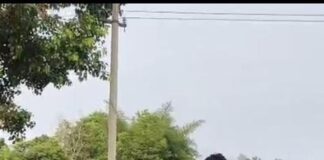 श्रावस्ती में किशोरी ने सरजू नहर में लगाई छलांग:पारिवारिक विवाद के बाद बलरामपुर में मिला शव
