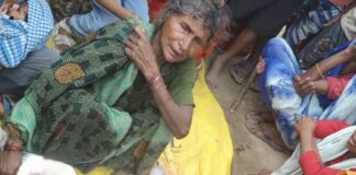 खेत में सांप ने डसा, महिला की मौत:दो नाबालिग बच्चे हुए अनाथ, पति का पहले हो चुका था निधन