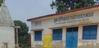 विश्व पर्यावरण दिवस पर ग्राम सचिवालय में बैठक:महराजगंज में पर्यावरण संरक्षण का संकल्प, पौधरोपण किया गया