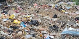 विद्यालय गली में कचरे का अंबार, नाली जाम:सिंदुरिया में लोगों को आवागमन में परेशानी, सफाई की मांग