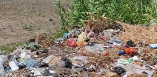 लेदवां में सड़क किनारे कूड़ा-कबाड़, ग्रामीण परेशान:बीमारी फैलने की आशंका, सफाई की मांग