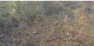 मध्यनगर मनोहरपुर मार्ग जर्जर, राहगीर परेशान:स्थानीय लोगों ने पक्की सड़क और पुलिया निर्माण की मांग की