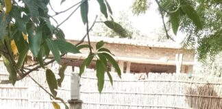 भावनियापुर में 6 माह से हैंडपंप खराब:ग्रामीण शुद्ध पेयजल को तरस रहे, प्रधान को जानकारी नहीं