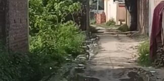 जमुनहा में जर्जर सड़क पर भरा गंदा पानी:नालियों की सफाई न होने से ग्रामीण परेशान, बीमारियों का खतरा