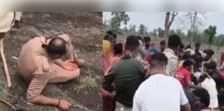 अवैध अतिक्रमण हटाने गई वन विभाग की टीम पर पथराव, वनकर्मियों ने मांगी सुरक्षा