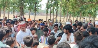 गाय 57 घंटे से खेत में लगा रही चक्कर:श्रावस्ती में ग्रामीण दैवीय संकेत मान रहे, पशु डॉक्टरों ने जांच की